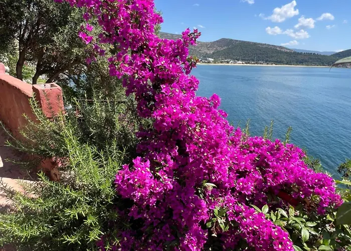 Caldera Premium * Kavala