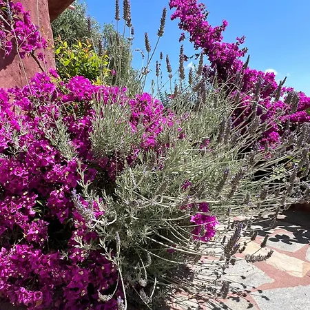 Caldera Premium فيلة