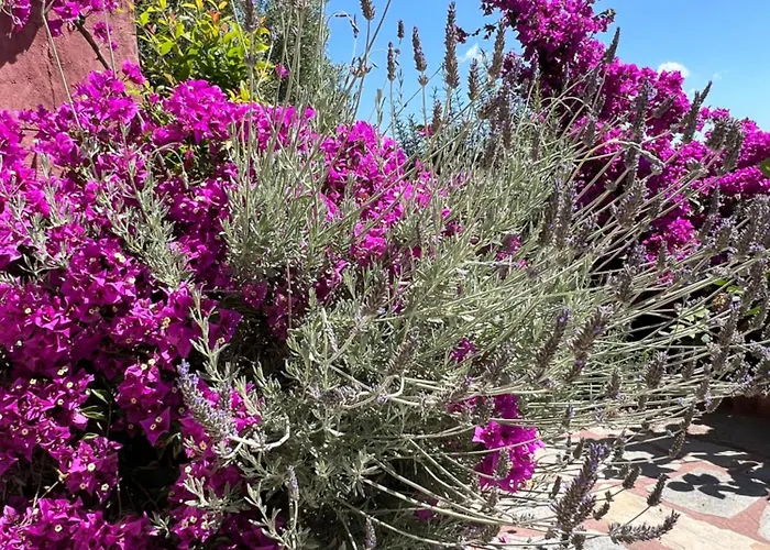 Caldera Premium Villa